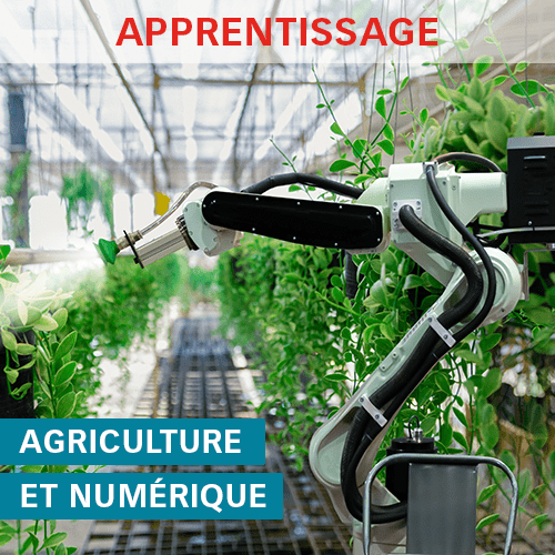 DP Agriculture et Numérique ISEN Ouest