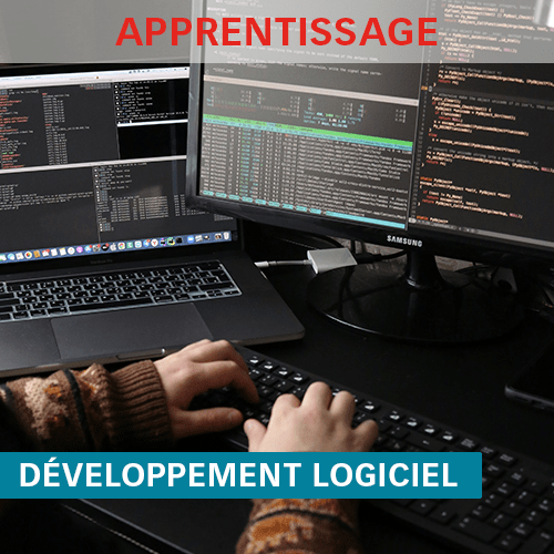 DP Développement Logiciel ISEN Ouest FISA