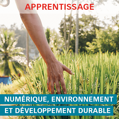 DP Numérique Environnement Développement Durable ISEN Ouest