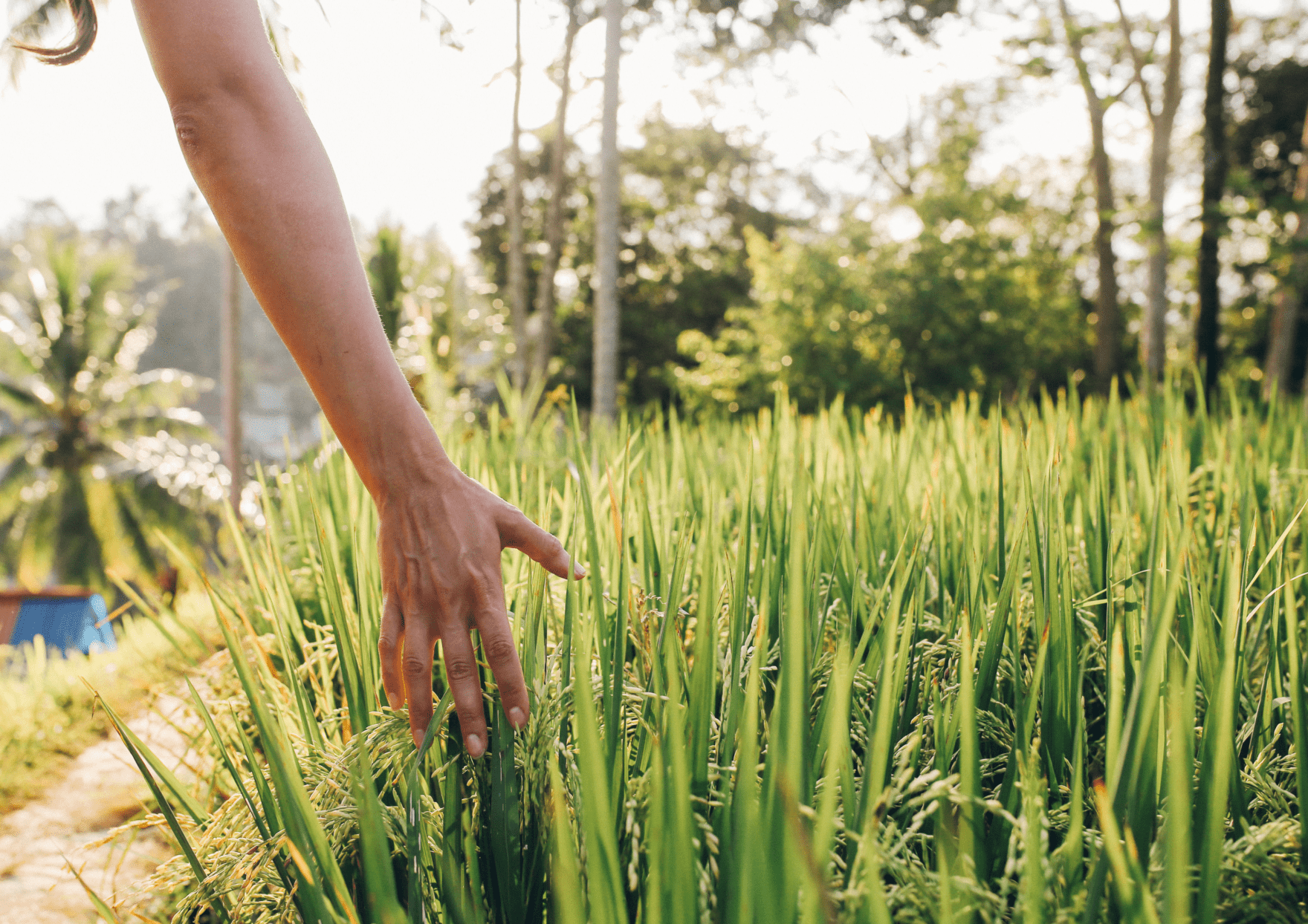 DP Numérique Environnement Développement Durable ISEN Ouest