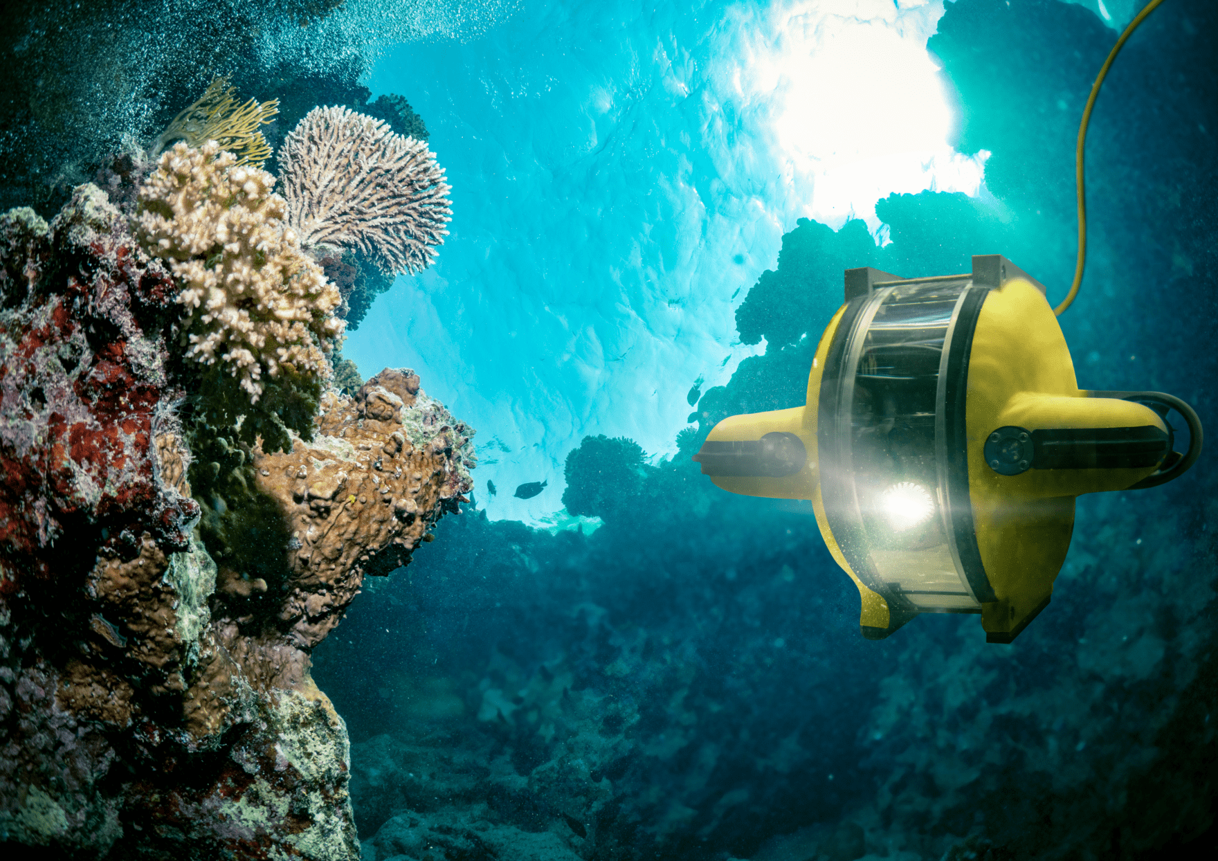 DP Marine Technologies ISEN Ouest