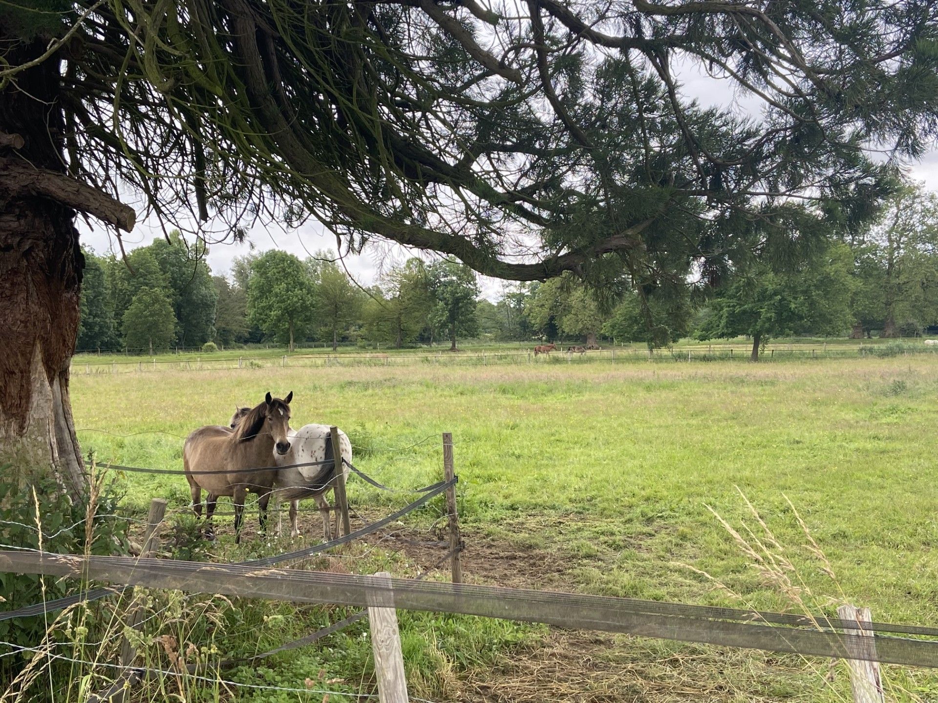 Hackathon Agriculture connectée